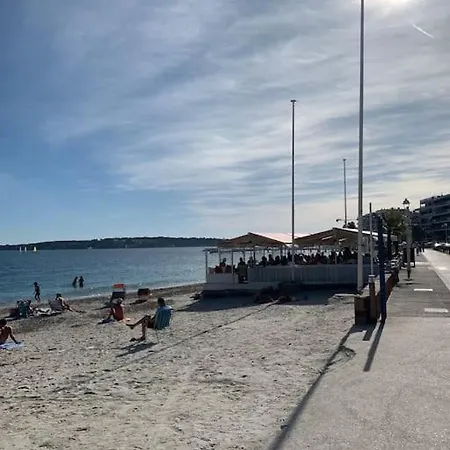 Beau - 100m De La Palm Daire